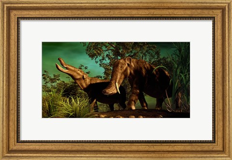 Framed Platybelodon Print