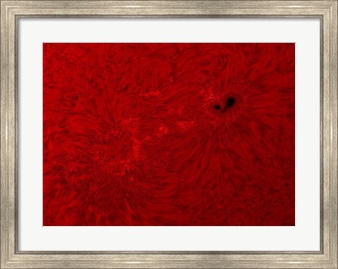 Framed H-alpha Sun in Red Print