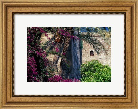 Framed Plams, Flowers and Ramparts of Alcazaba, Malaga, Spain Print