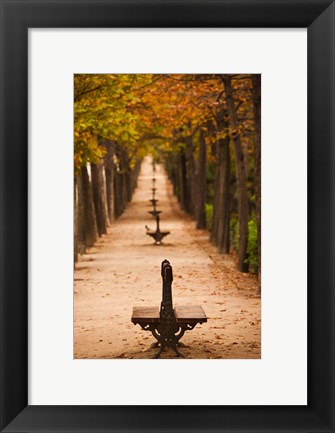 Framed Parque del Buen Retiro, Madrid, Spain Print