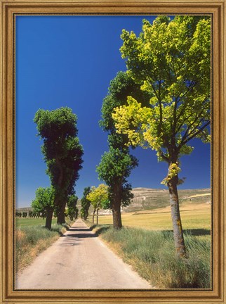 Framed Pilgrimage Road, El Camino de Santiago de Compostela, Castile, Spain Print