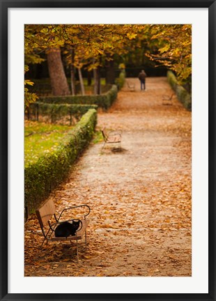 Framed Parque del Buen Retiro, Madrid, Spain Print