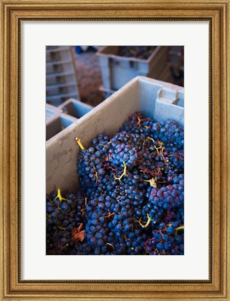 Framed Bodega Marques de Riscal Winery, Elciego, Basque Country, Spain Print