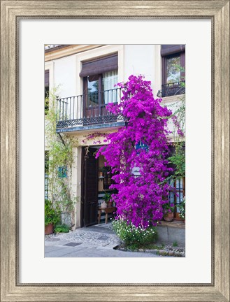 Framed Spain, Granada The entrance of Hotel America Print