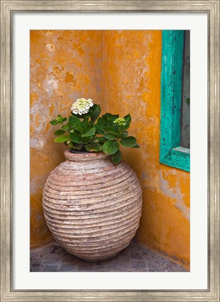 Framed Flower in pot, Crete, Greece Print