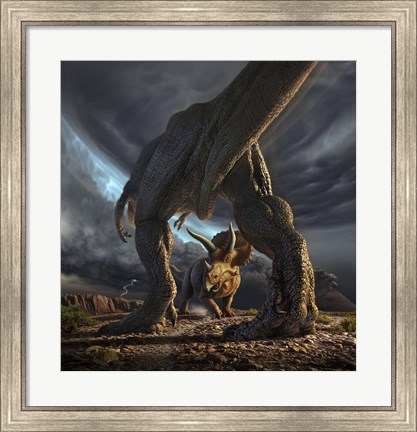 Framed Tyrannosaurus Rex and Triceratops in a Face Off Print