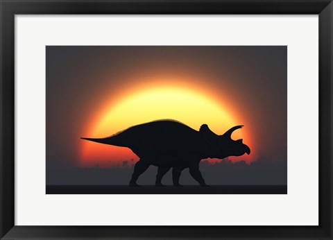 Framed Silhouetted Triceratops strolling Past a Setting Sun Print