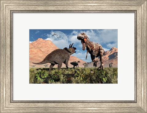 Framed Prehistoric battle between a Triceratops and Tyrannosaurus Rex Print