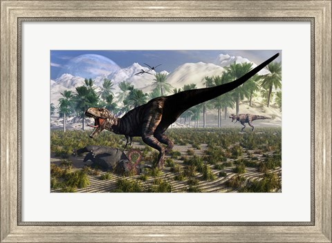 Framed Tyrannosaurus Rex Guards its meal of a Juvenile Triceratops Print