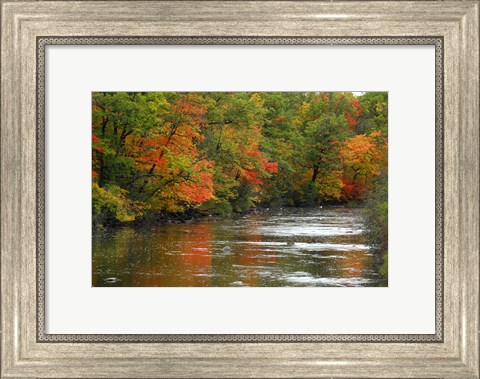 Framed Hint of Fall Print