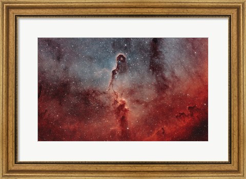 Framed Elephant Trunk Nebula I Print