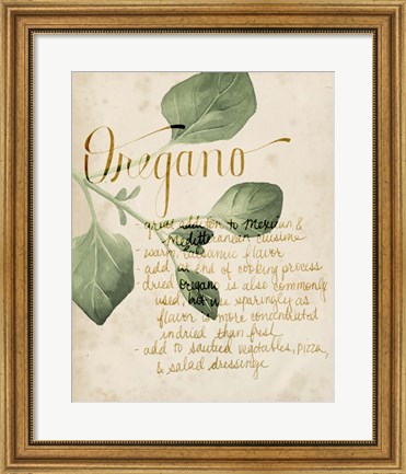 Framed Herb Study III Print