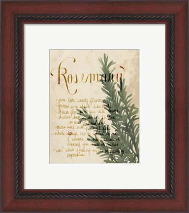 Framed Herb Study IV Print