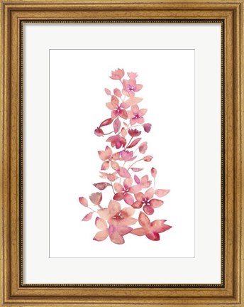 Framed Blossom Falls II Print