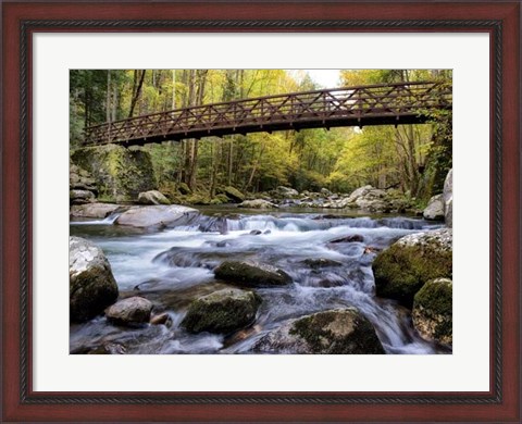 Framed On the Rocks Print