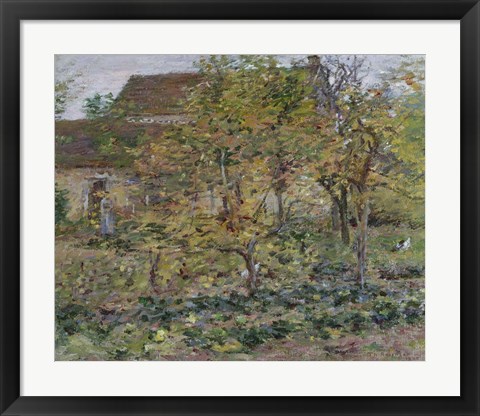 Framed Yellow Apples, 1892 Print