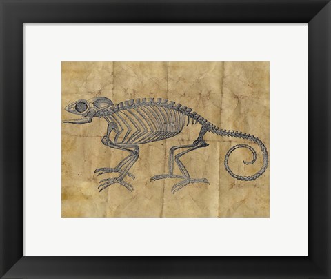 Framed Chameleon I Print