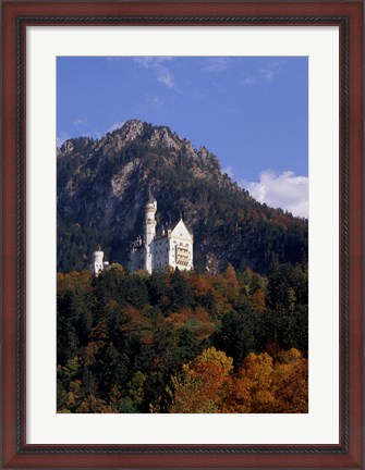 Framed Bavarian Alps and Neuschwanstein Castle Print