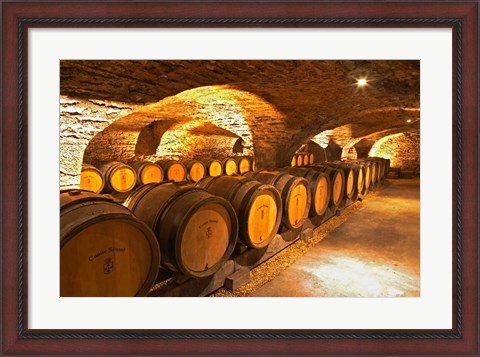 Framed Oak Barrels in Cellar at Domaine Comte Senard Print