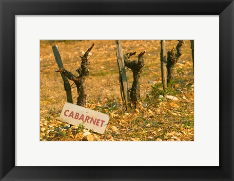 Framed La Truffe de Ventoux, Provence, France Print