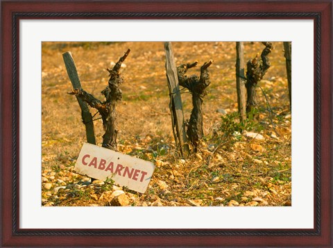 Framed La Truffe de Ventoux, Provence, France Print