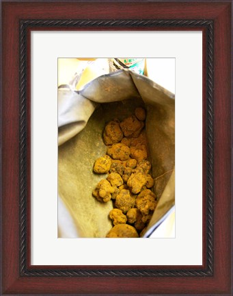 Framed Truffle Harvest at La Truffe de Ventoux Truffle Farm Print