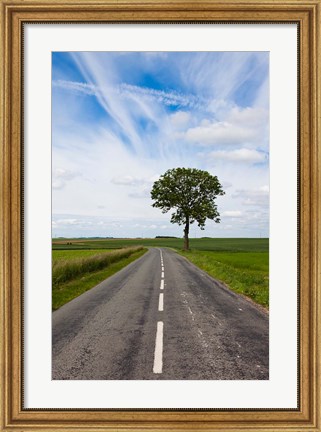 Framed Road through the countryside, Beaumont, Somme, Picardy, France Print