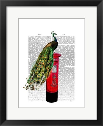 Framed Peacock on Postbox Print