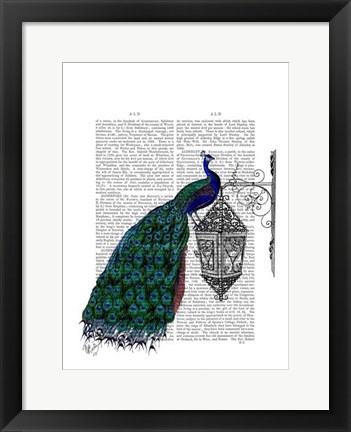 Framed Peacock On Lamp Print