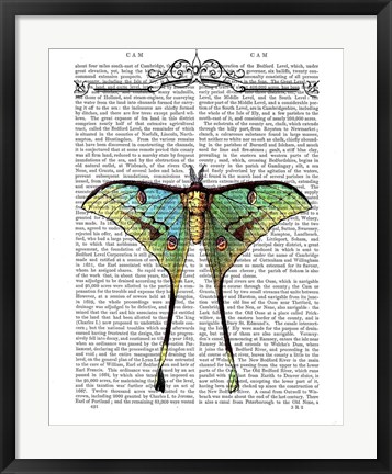 Framed Butterfly 1 Print