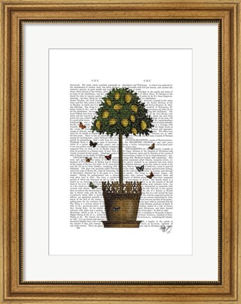 Framed Lemon Tree Print