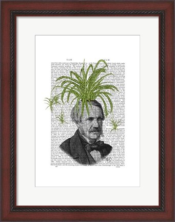 Framed Spider Plant Head Print