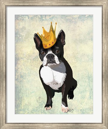 Framed Boston Terrier and Crown Print