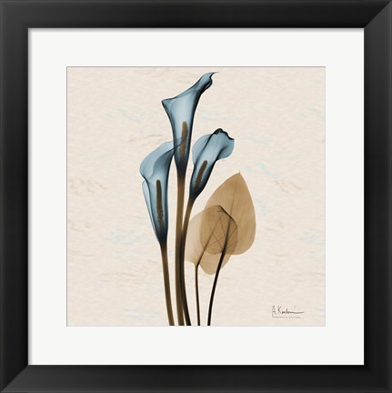 Calla Lily Blue Brown H36 Artwork by Albert Koetsier at FramedArt.com