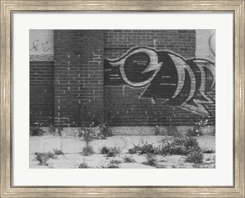 Framed Graffiti On The Wall Print