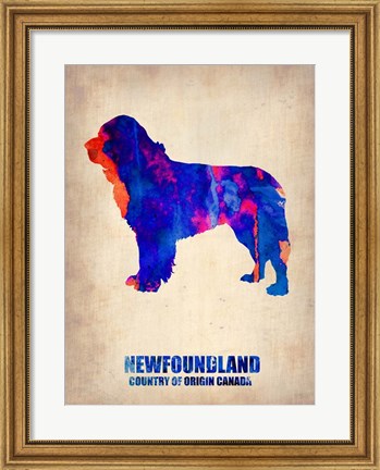 Framed Newfoundland 2 Print