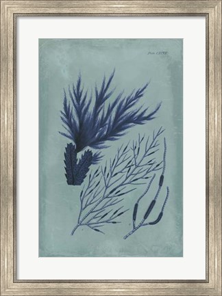 Framed Indigo &amp; Azure Seaweed II Print