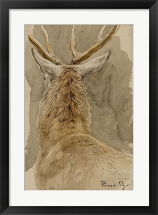 Framed Study of a Deer Print