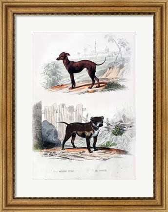 Framed Pair of Dogs II Print