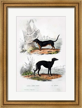 Framed Pair of Dogs III Print