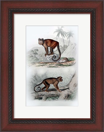 Framed Pair of Monkeys IX Print