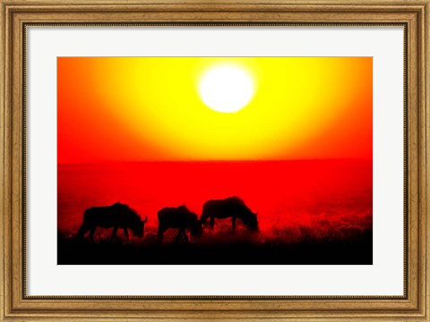 Framed Wildebeests, Etosha National Park, Namibia Print