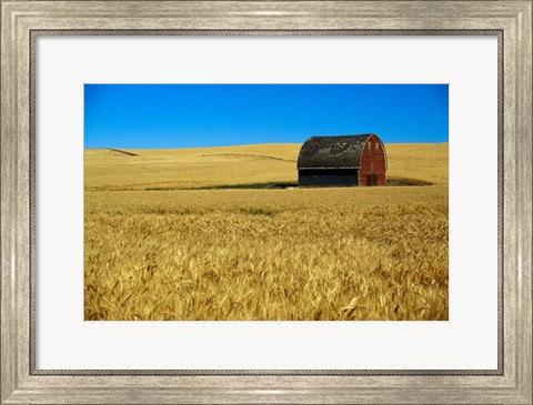 Framed Red barn in wheat field, Palouse region, Washington, USA. Print