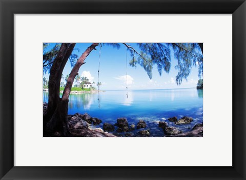 Framed Rope Swing Over Water, Florida Keys Print