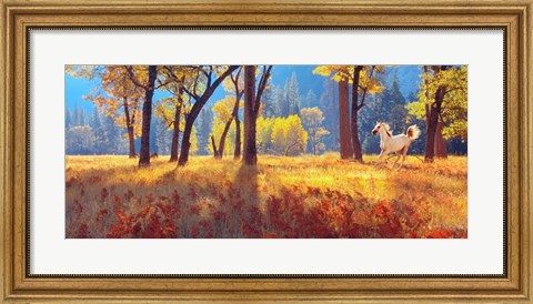 Framed Yosemite Park, California Print