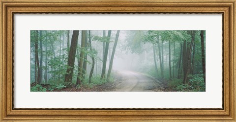 Framed Skyline Drive, Jackson-Washington State Forest, Indiana Print