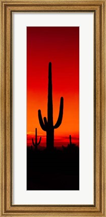 Framed Silhouette of Saguaro Cactus, Arizona Print