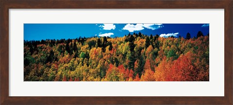 Framed Fall Durango, Colorado Print