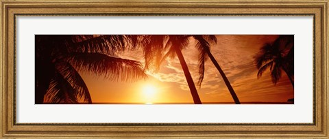 Framed Fort Meyers Florida Sunset Print