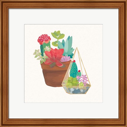 Framed Succulent Garden IV Print